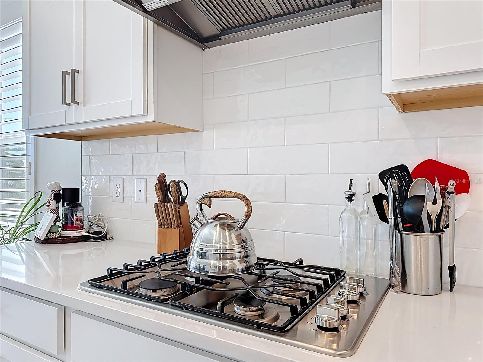 Image 17 of 72 For 5635 Blue Reef Place