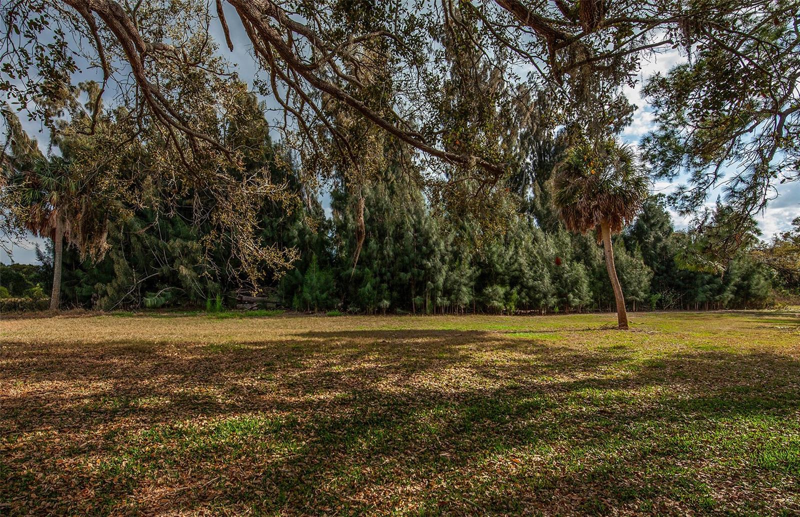 Image 38 of 54 For 862 Bird Bay Way 194