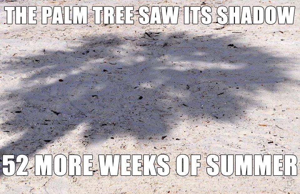 Image 51 of 54 For 862 Bird Bay Way 194