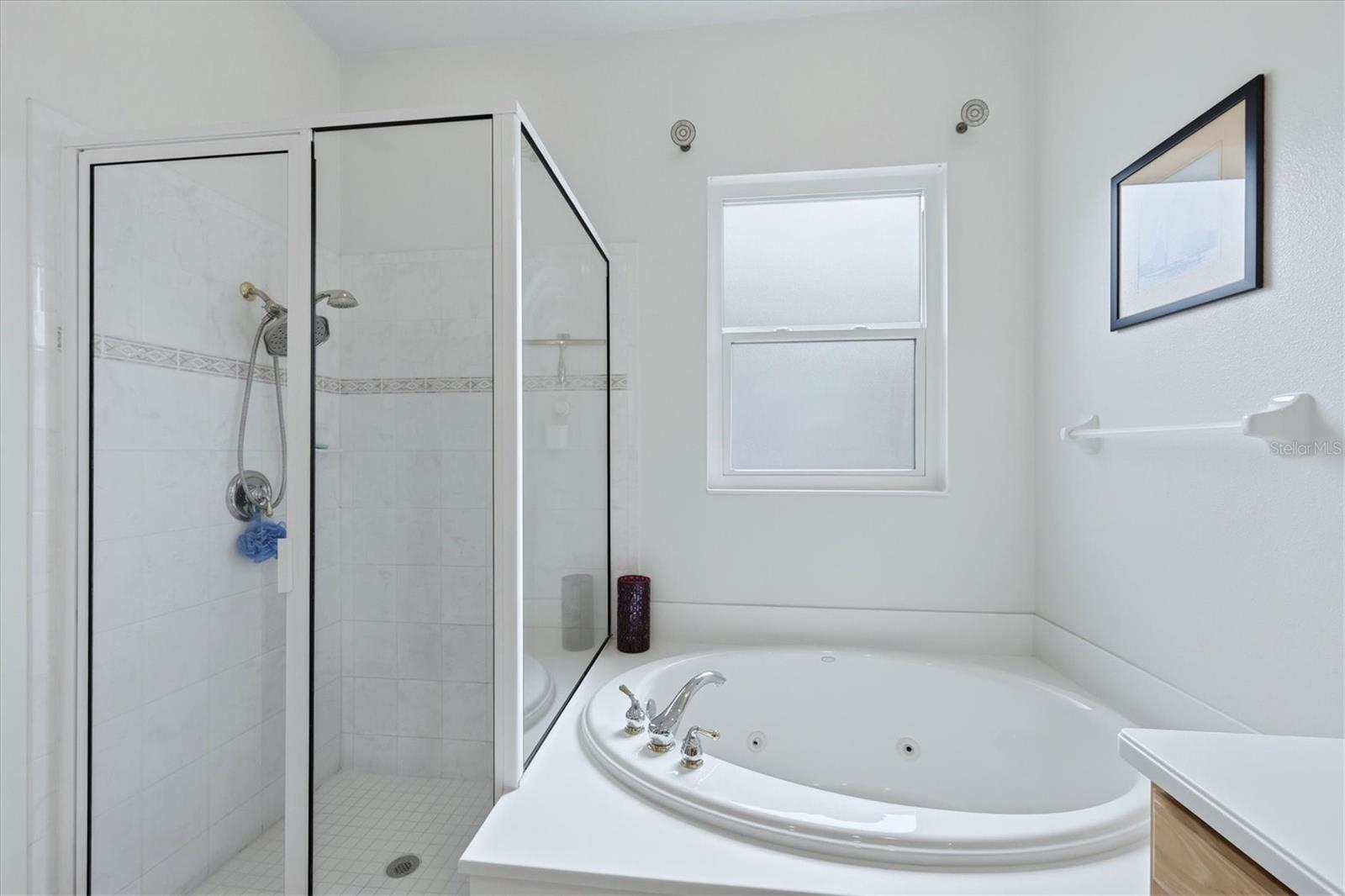 Image 22 of 53 For 745 Fordingbridge Way