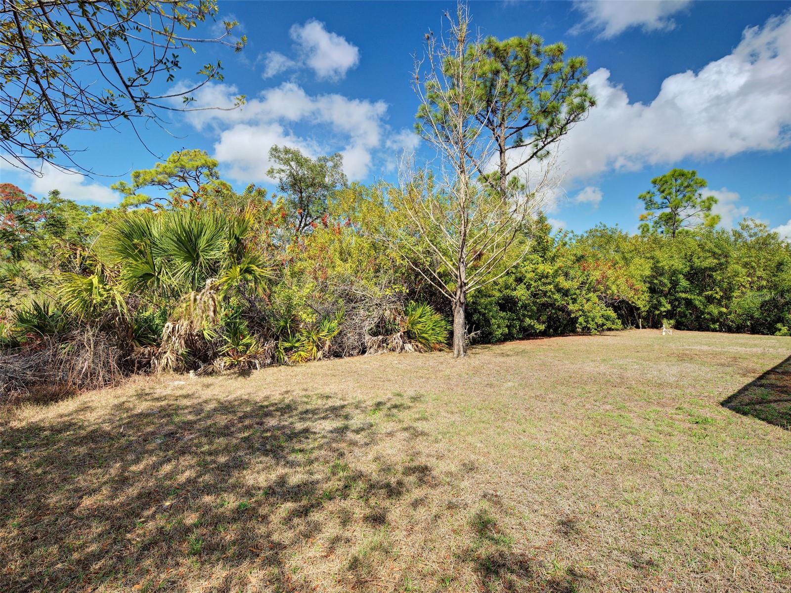 Image 14 of 49 For 2135 Belvoir Street