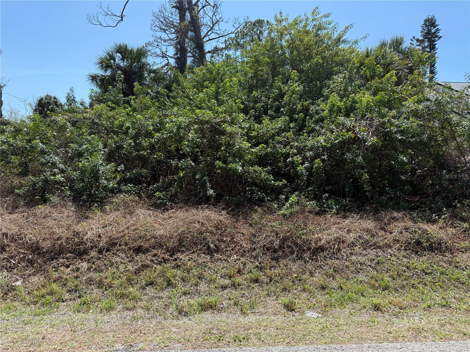 Image 2 of 2 For Leach Street