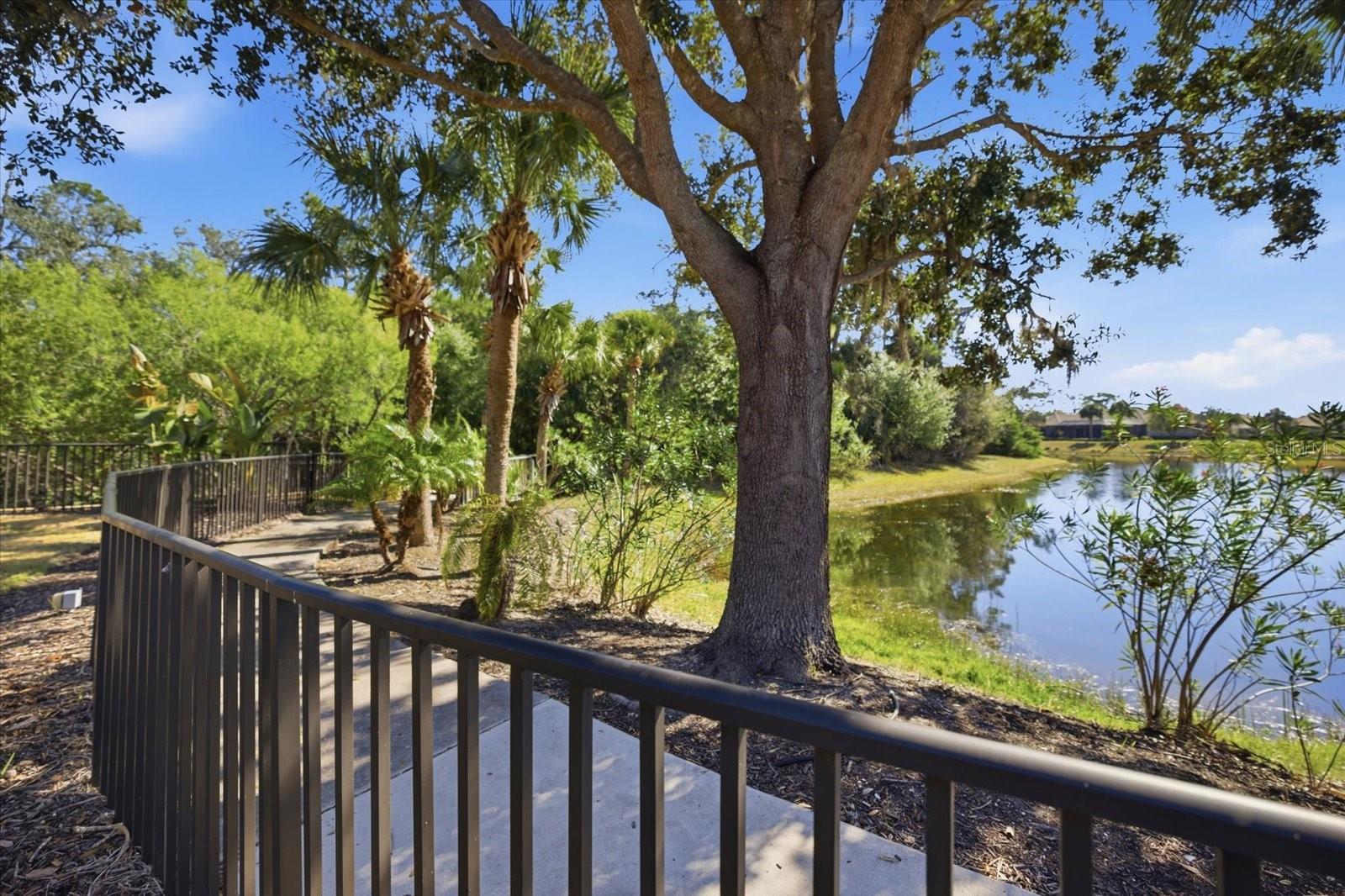 Image 58 of 80 For 134 Medici Terrace Terrace