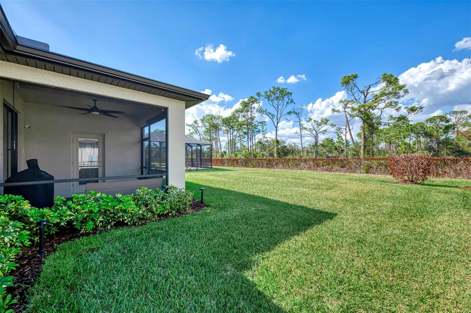 Image 43 of 54 For 15896 Honeysuckle Street