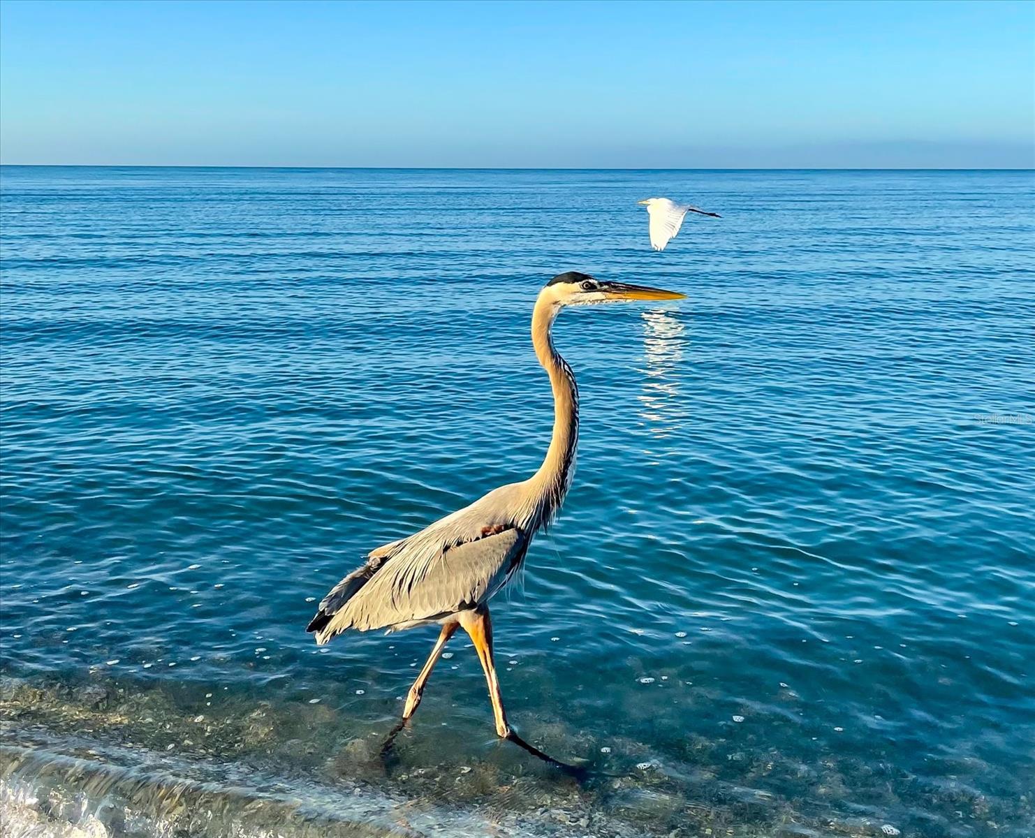 Image 89 of 91 For 1725 Overbrook Road