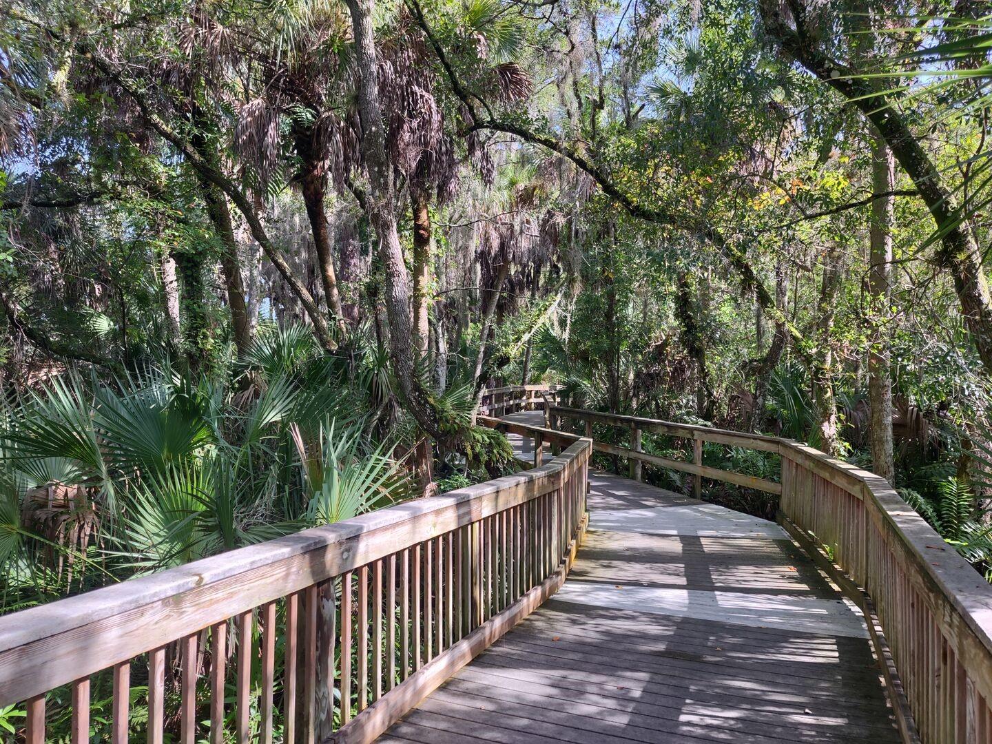 Image 42 of 42 For 209 Mestre Place