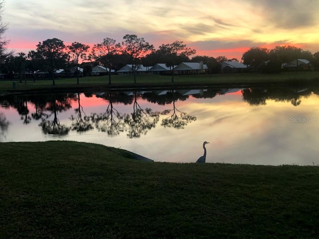 Image 29 of 47 For 425 Cerromar Terrace 459