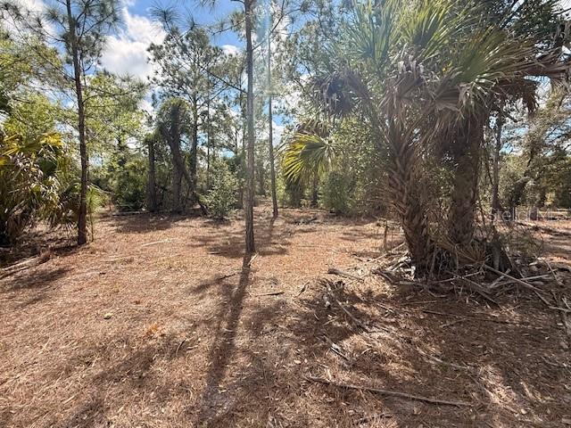 Image 7 of 13 For Spoonhill Road