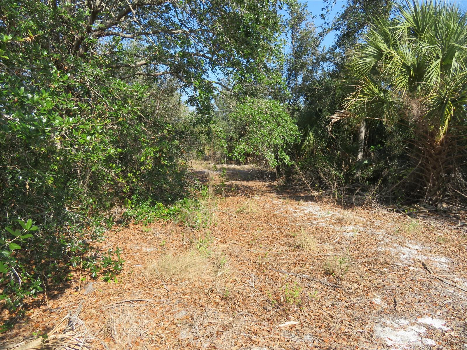 Image 3 of 9 For 6186 Herb Street