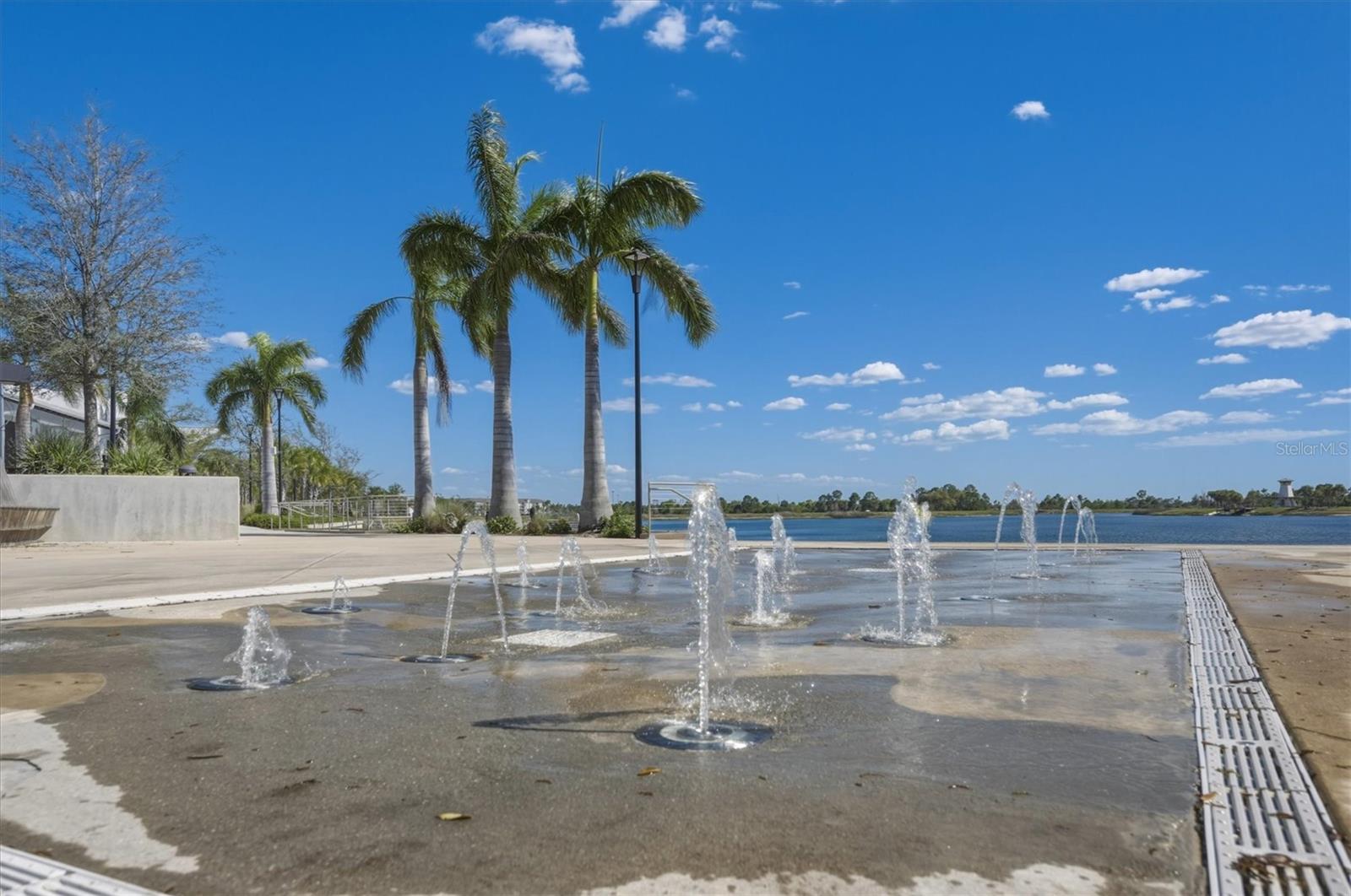 Image 74 of 100 For 11794 Sistine Lane