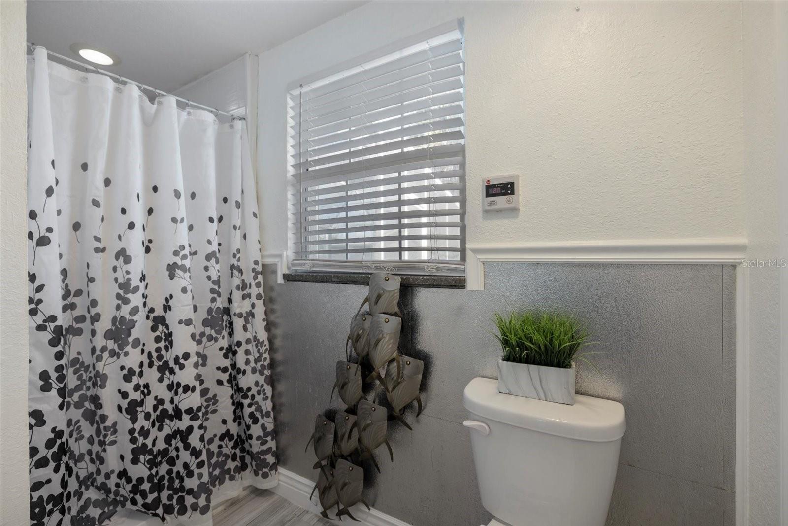 Image 25 of 54 For 117 Aurora Street E