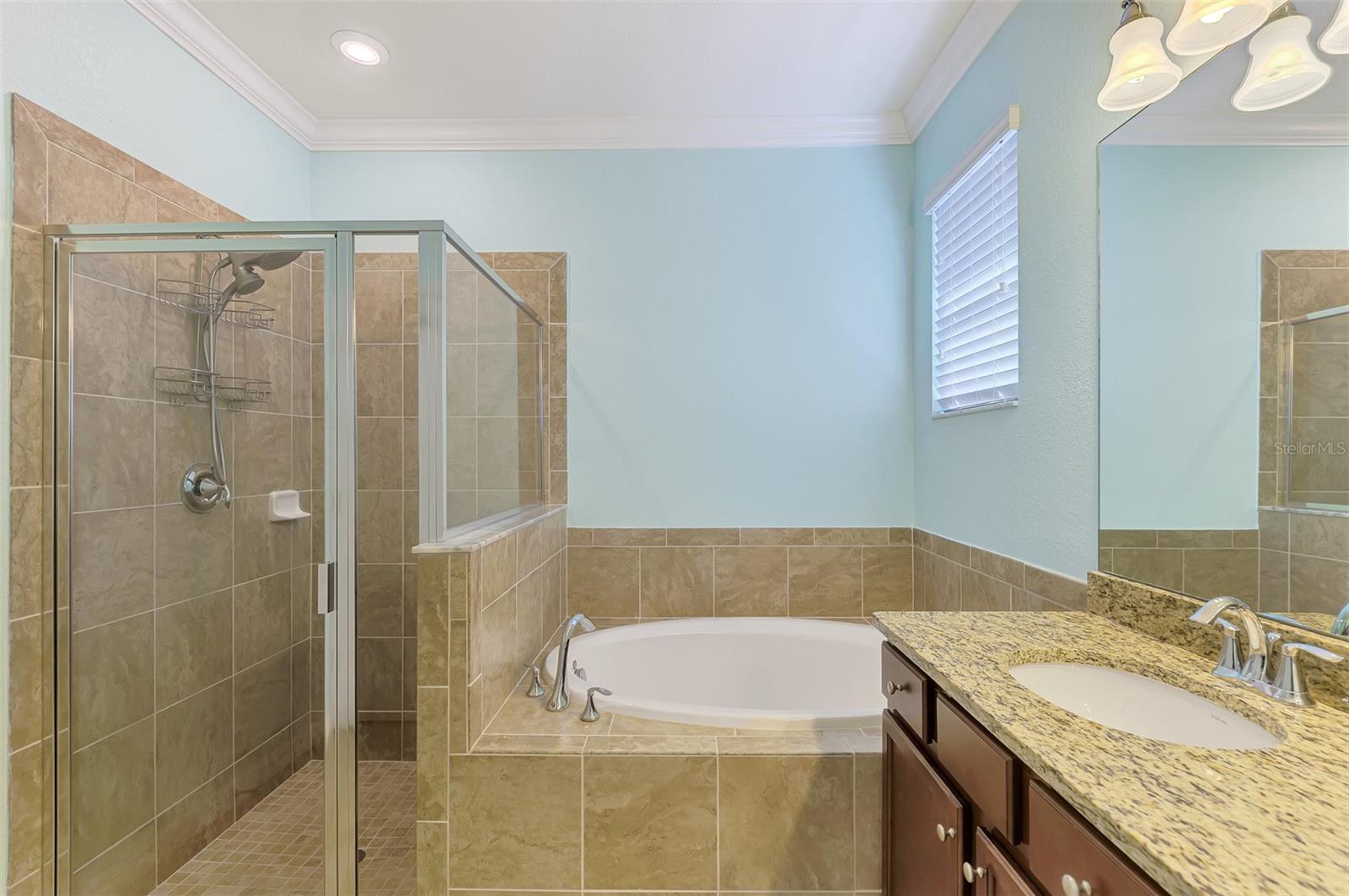 Image 38 of 67 For 10435 Medjool Drive