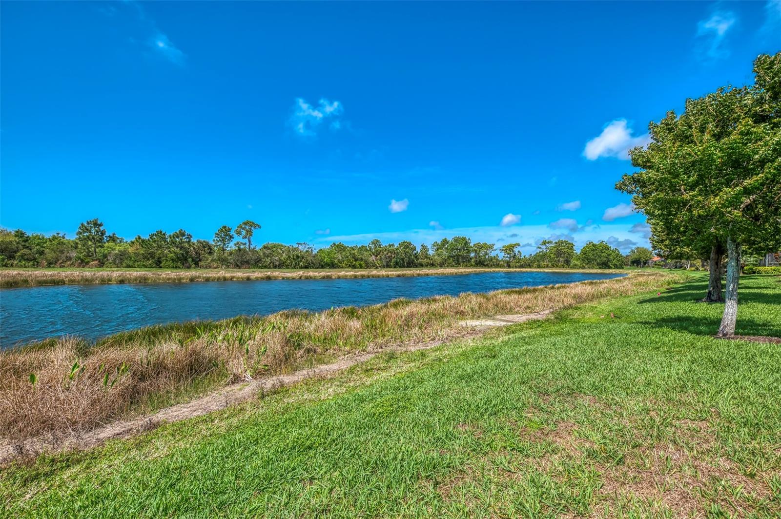 Image 60 of 67 For 10435 Medjool Drive