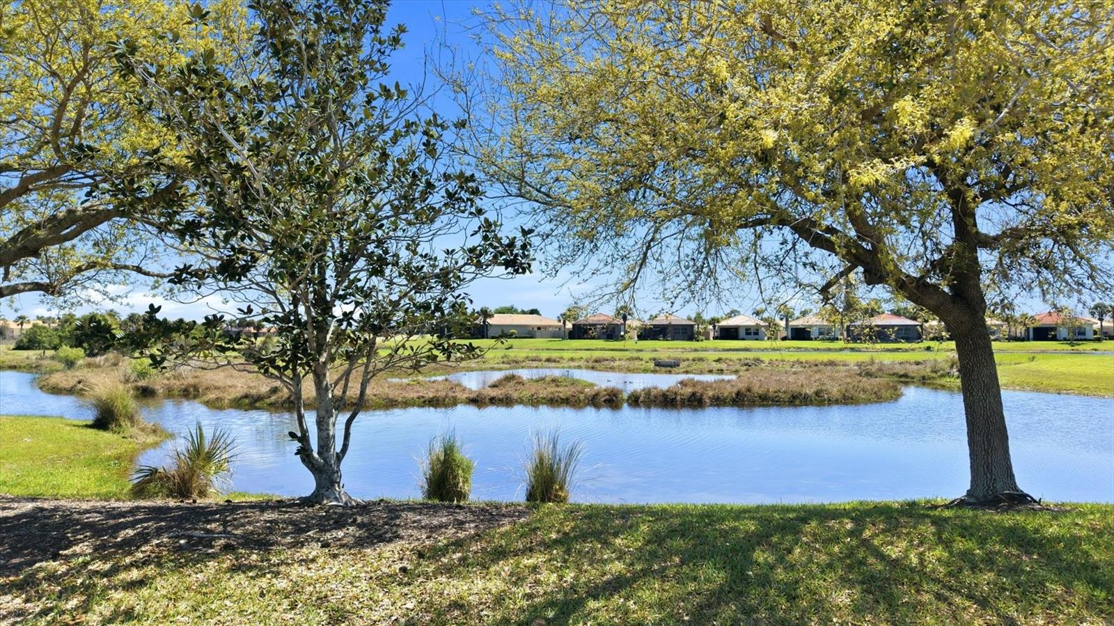 Image 25 of 41 For 246 Padova Way