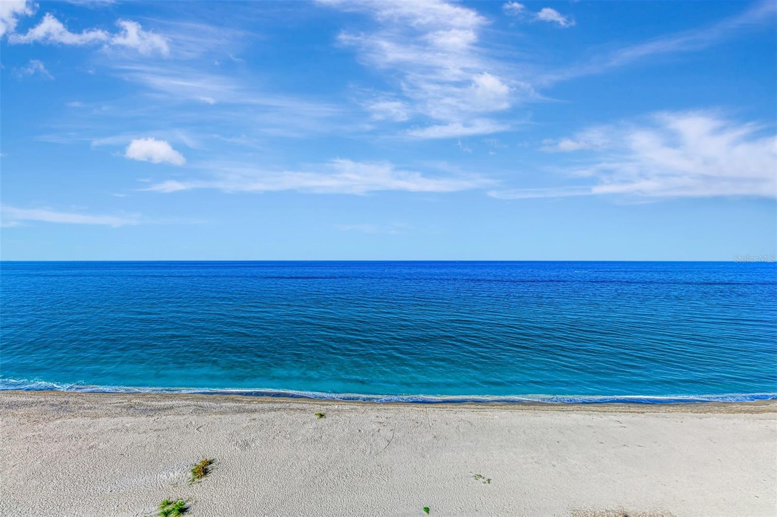 Image 2 of 74 For 631 Alhambra Road 1004