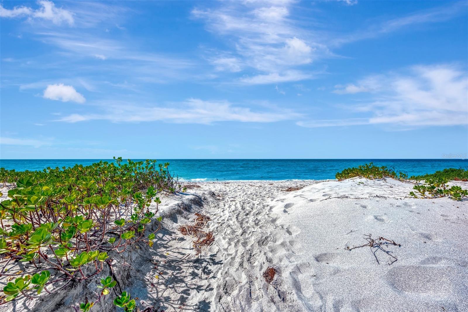 Image 64 of 74 For 631 Alhambra Road 1004