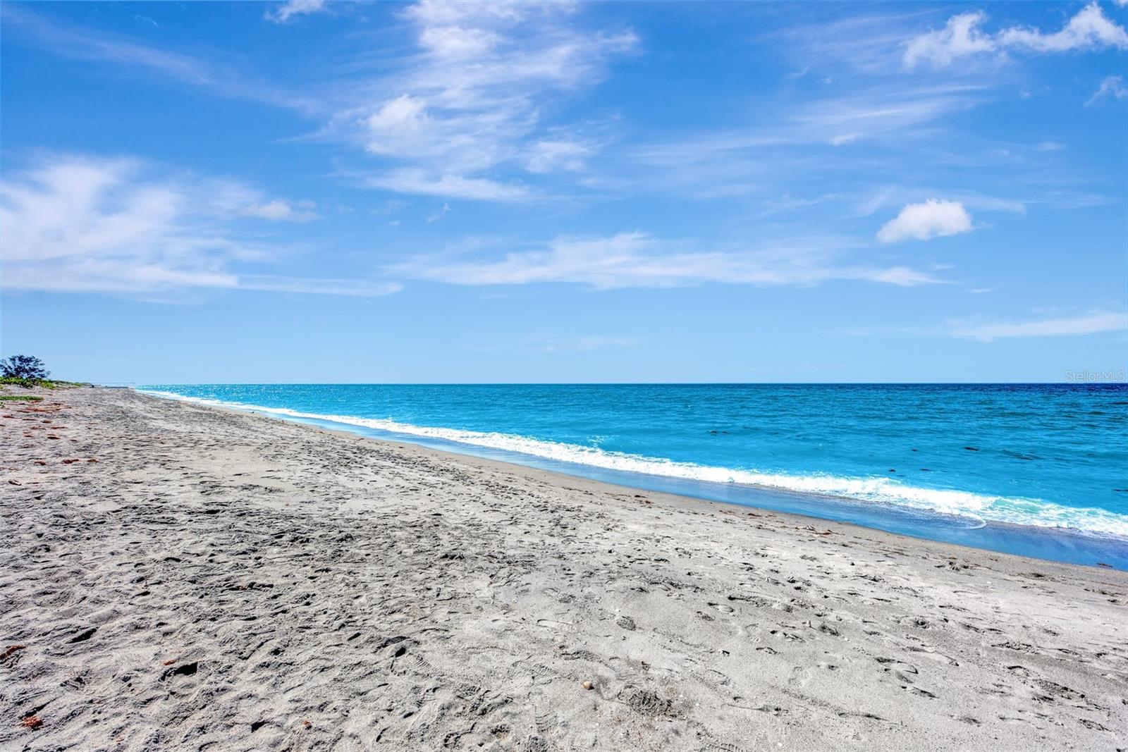 Image 67 of 74 For 631 Alhambra Road 1004