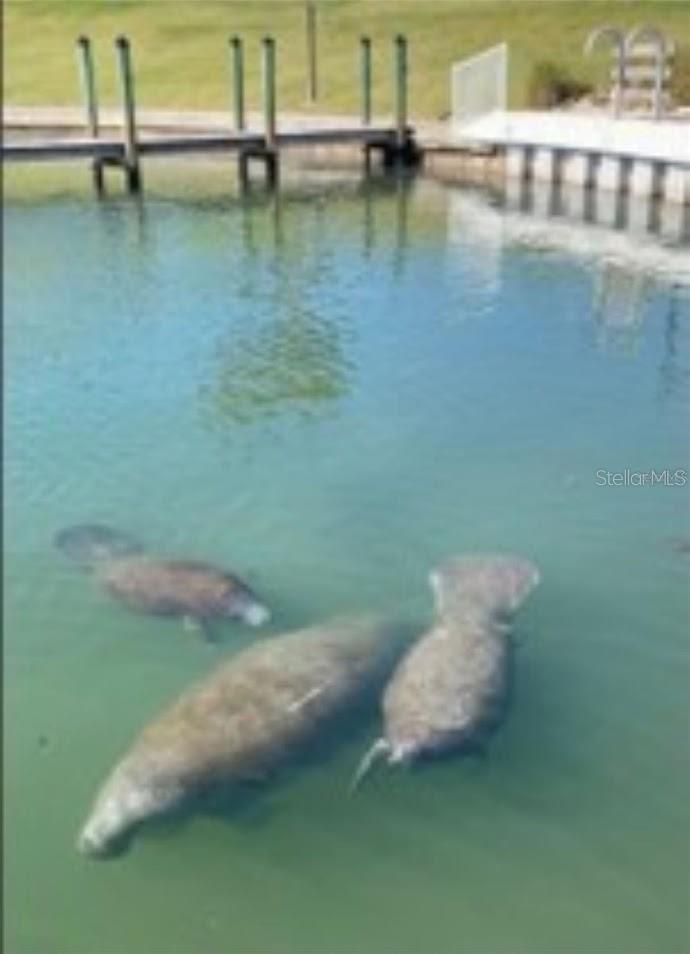 Image 21 of 21 For 716 Carefree