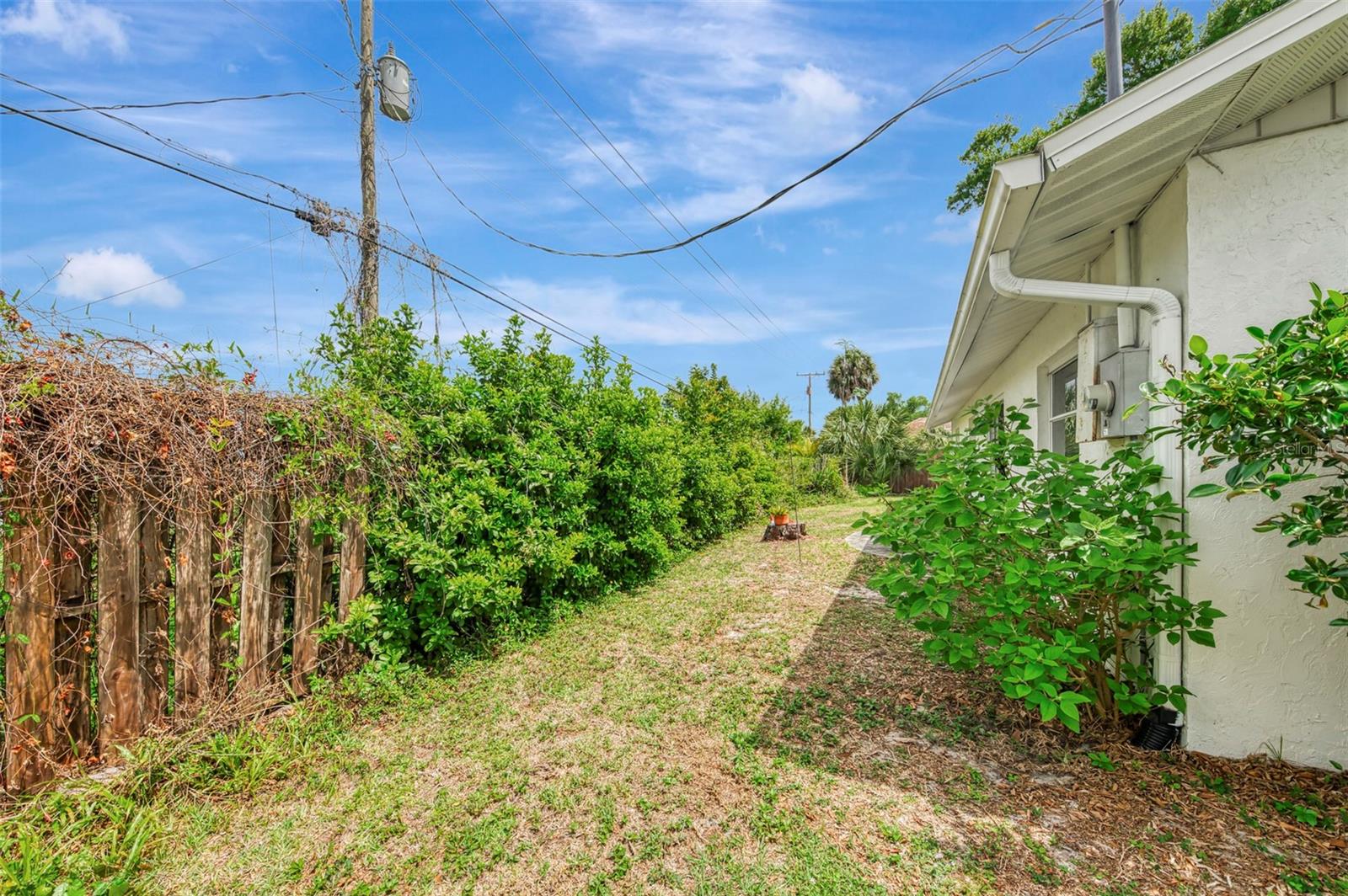Image 43 of 45 For 581 Crocus Road