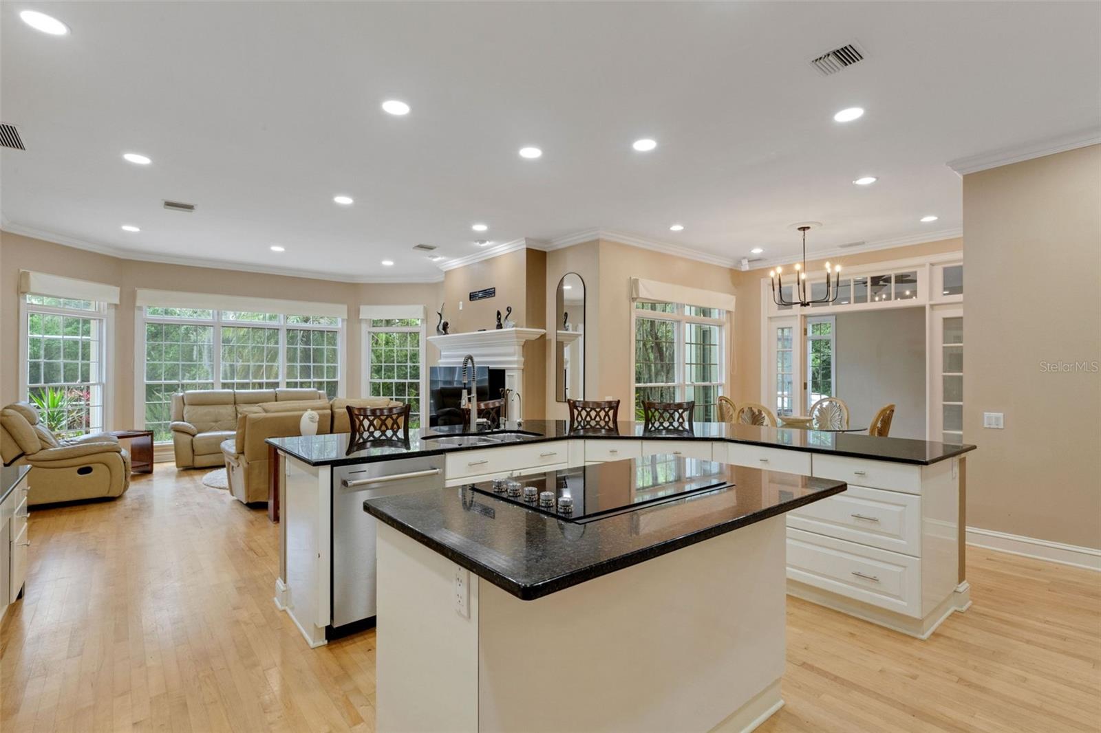 Image 19 of 87 For 2984 Jeff Myers Circle