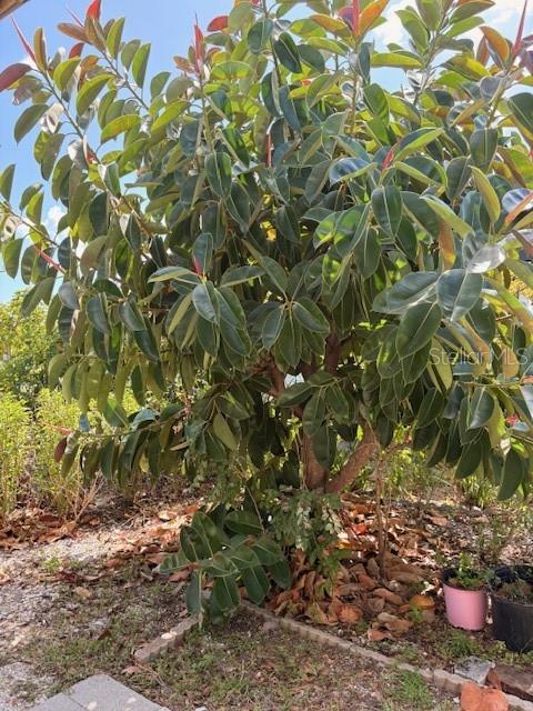 Image 23 of 23 For 6767 San Casa Drive 35