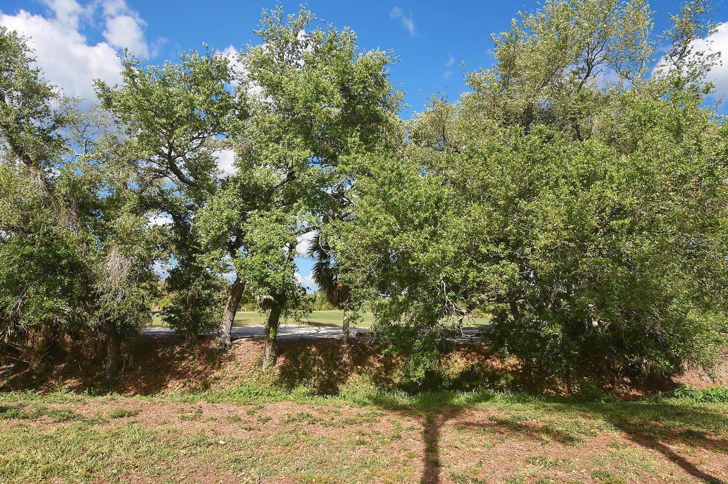 Image 46 of 68 For 1160 Highland Greens Drive