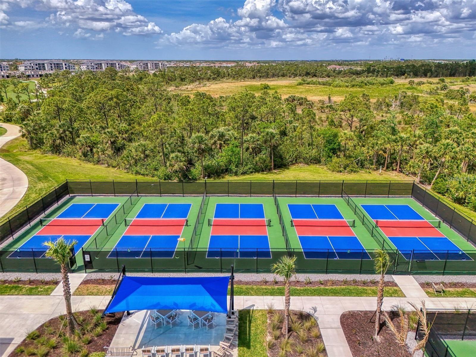 Image 66 of 99 For 17220 Jadestone Court