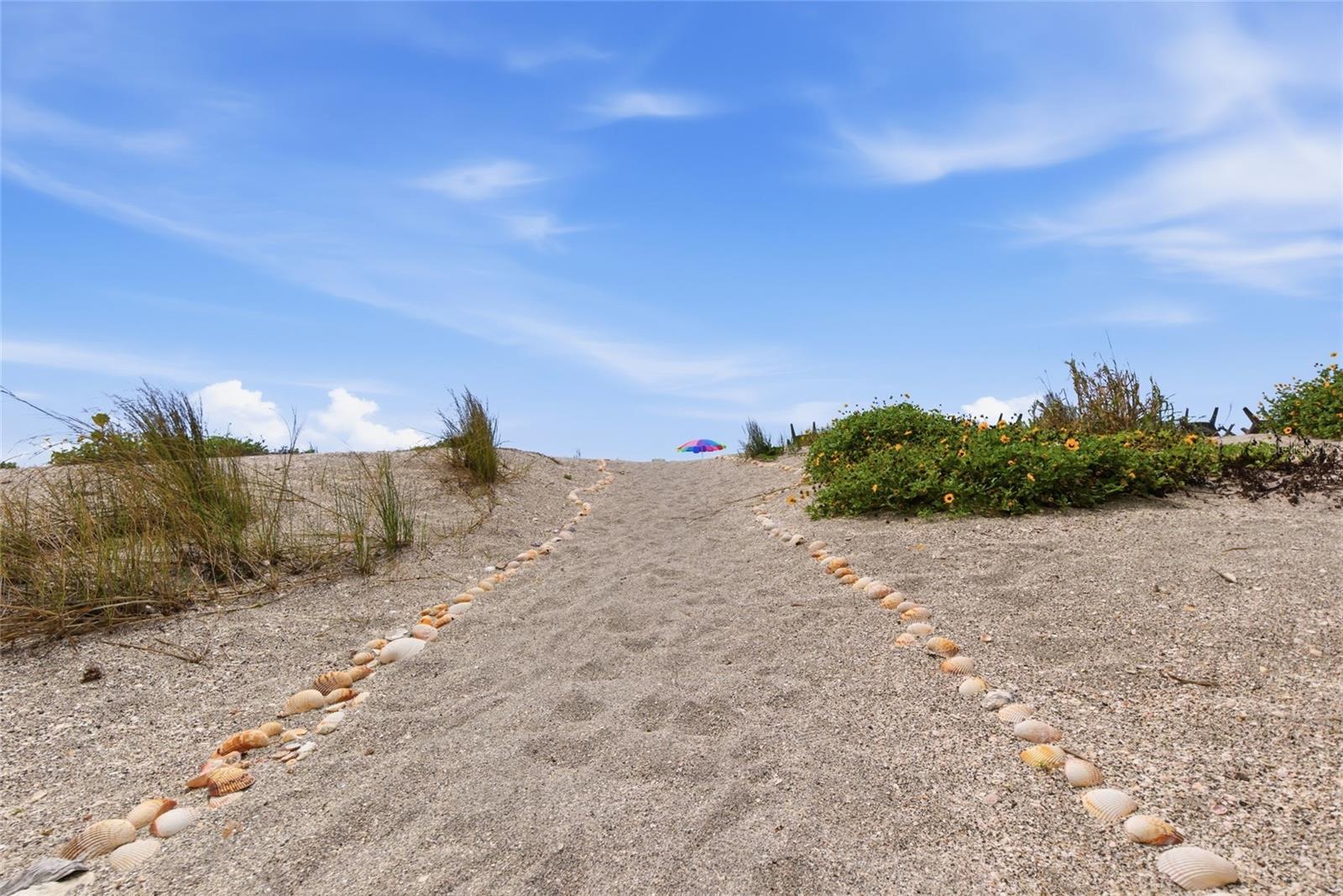 Image 24 of 30 For 333 The Esplanade N 501