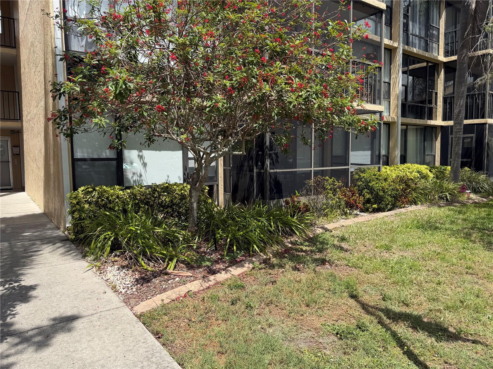 Image 2 of 31 For 618 Bird Bay Drive S 110