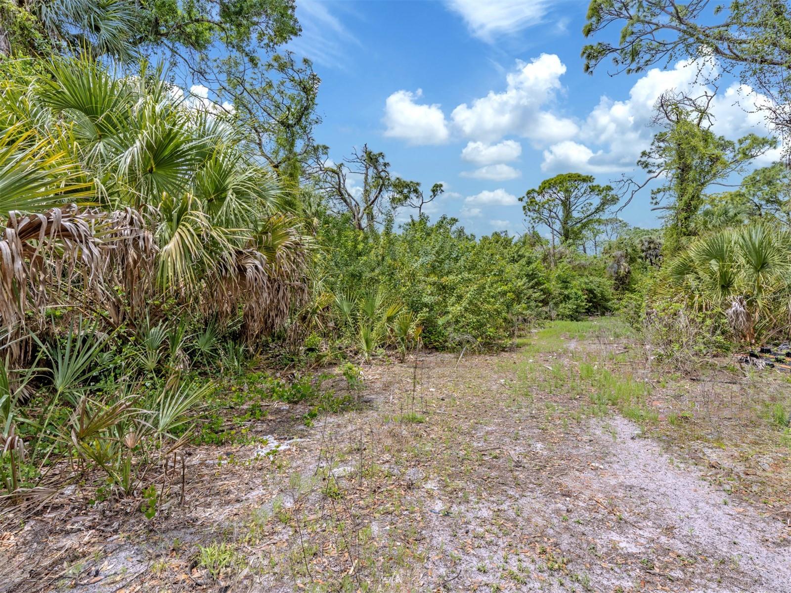 Image 18 of 59 For 400 Havana Road