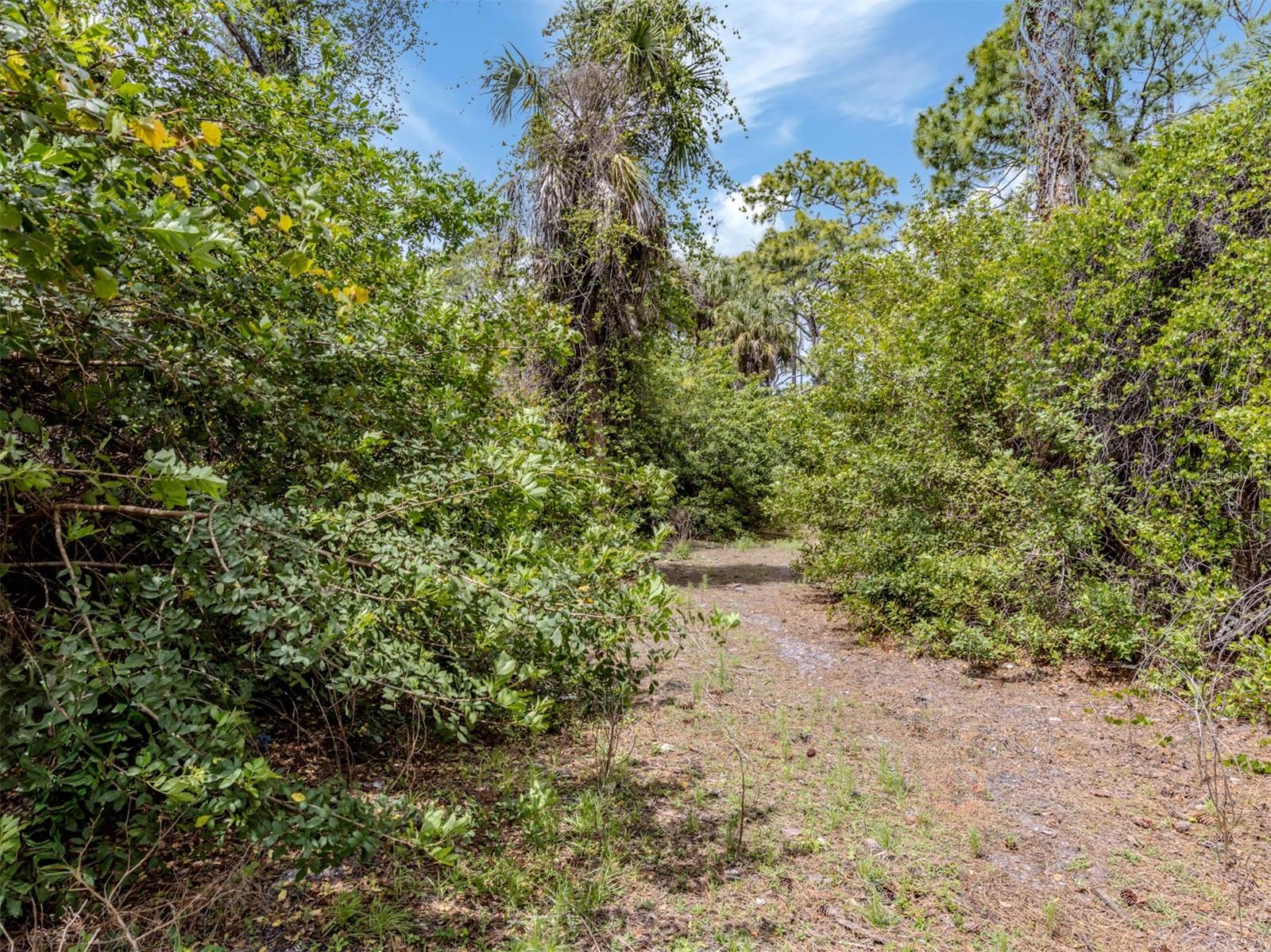 Image 19 of 59 For 400 Havana Road