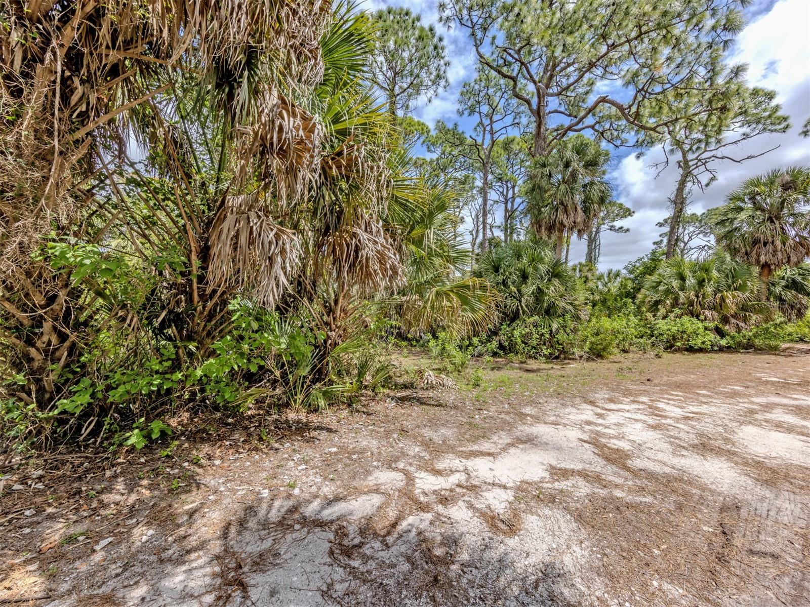 Image 22 of 59 For 400 Havana Road