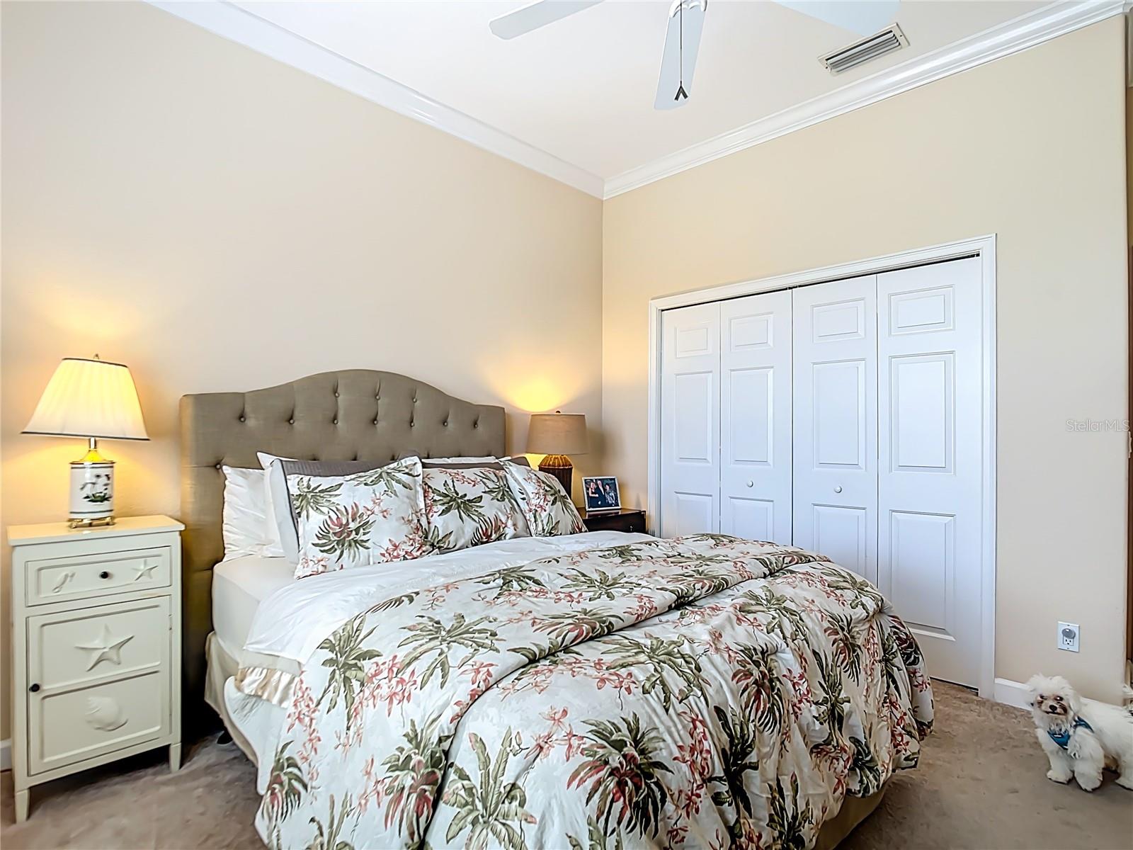 Image 33 of 59 For 114 Rimini Way