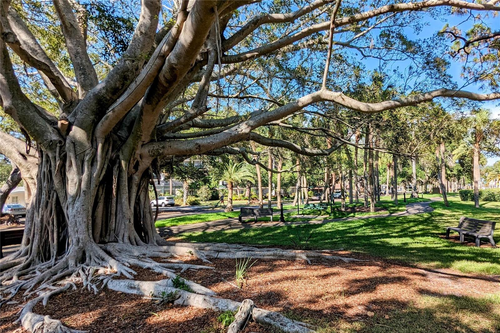 Image 34 of 36 For 206 Vista Del Lago Way