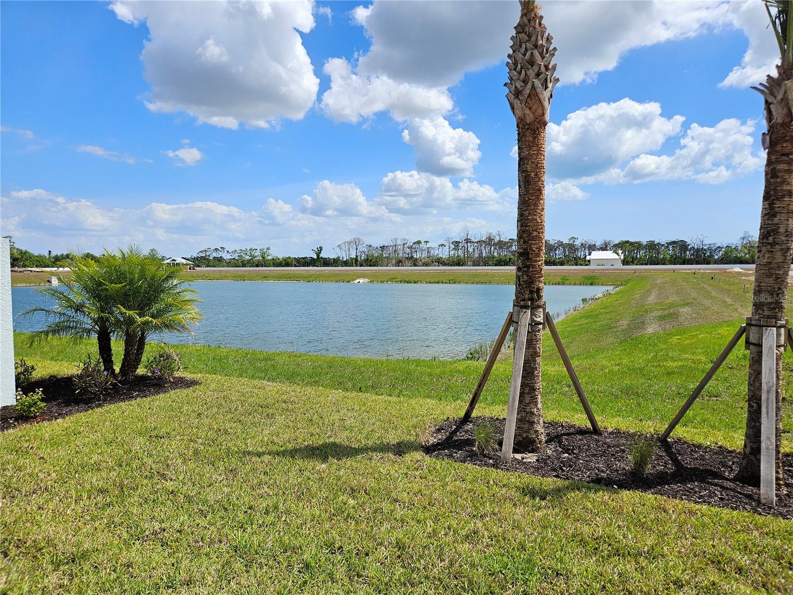 Image 14 of 37 For 1595 Tavira Place