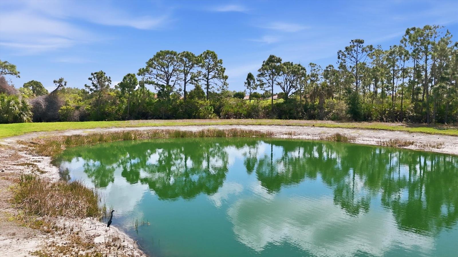 Image 23 of 100 For 10441 Crooked Creek Drive