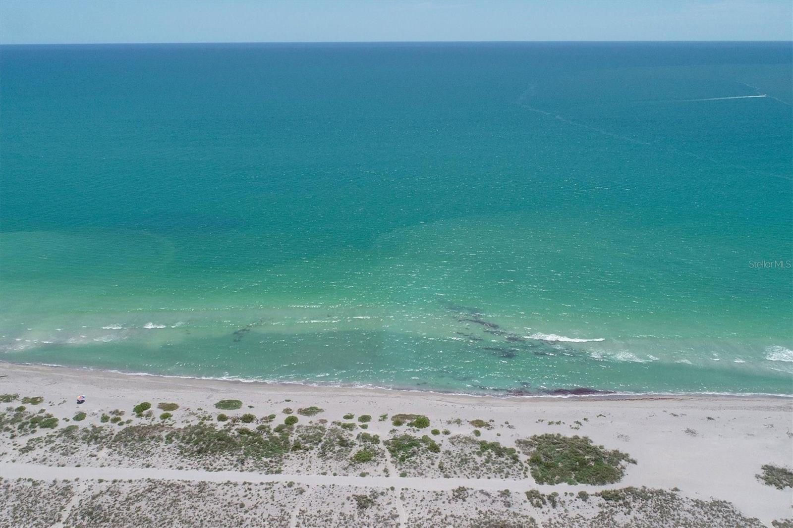 Image 57 of 57 For 555 The Esplanade N 205