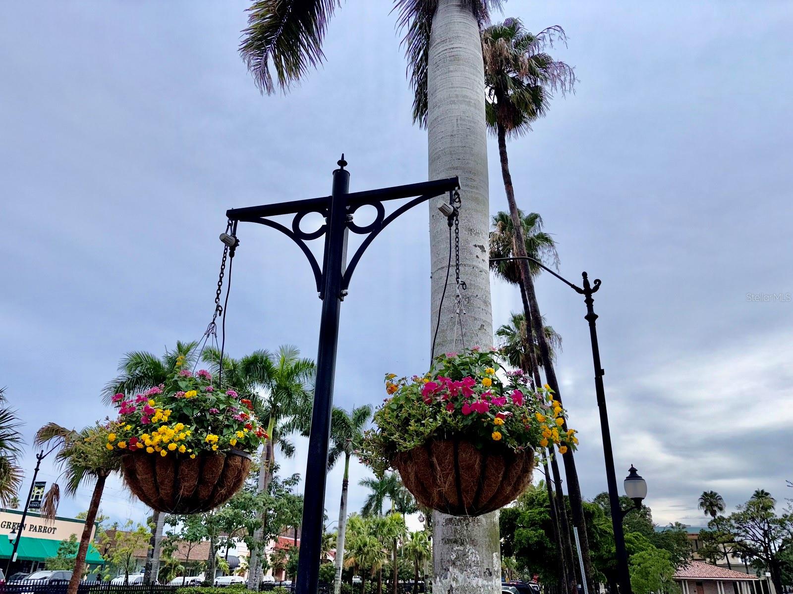 Image 57 of 62 For 413 Cervina Drive N