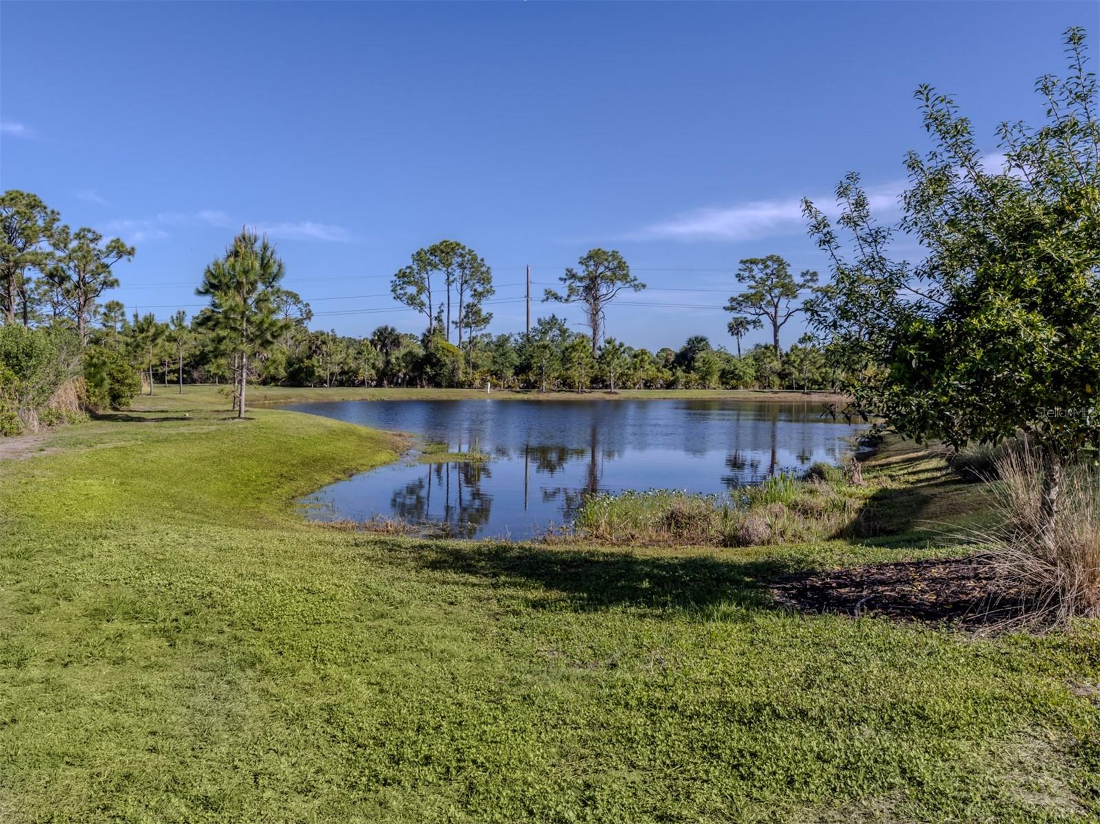 Image 21 of 92 For 390 Ariano Avenue