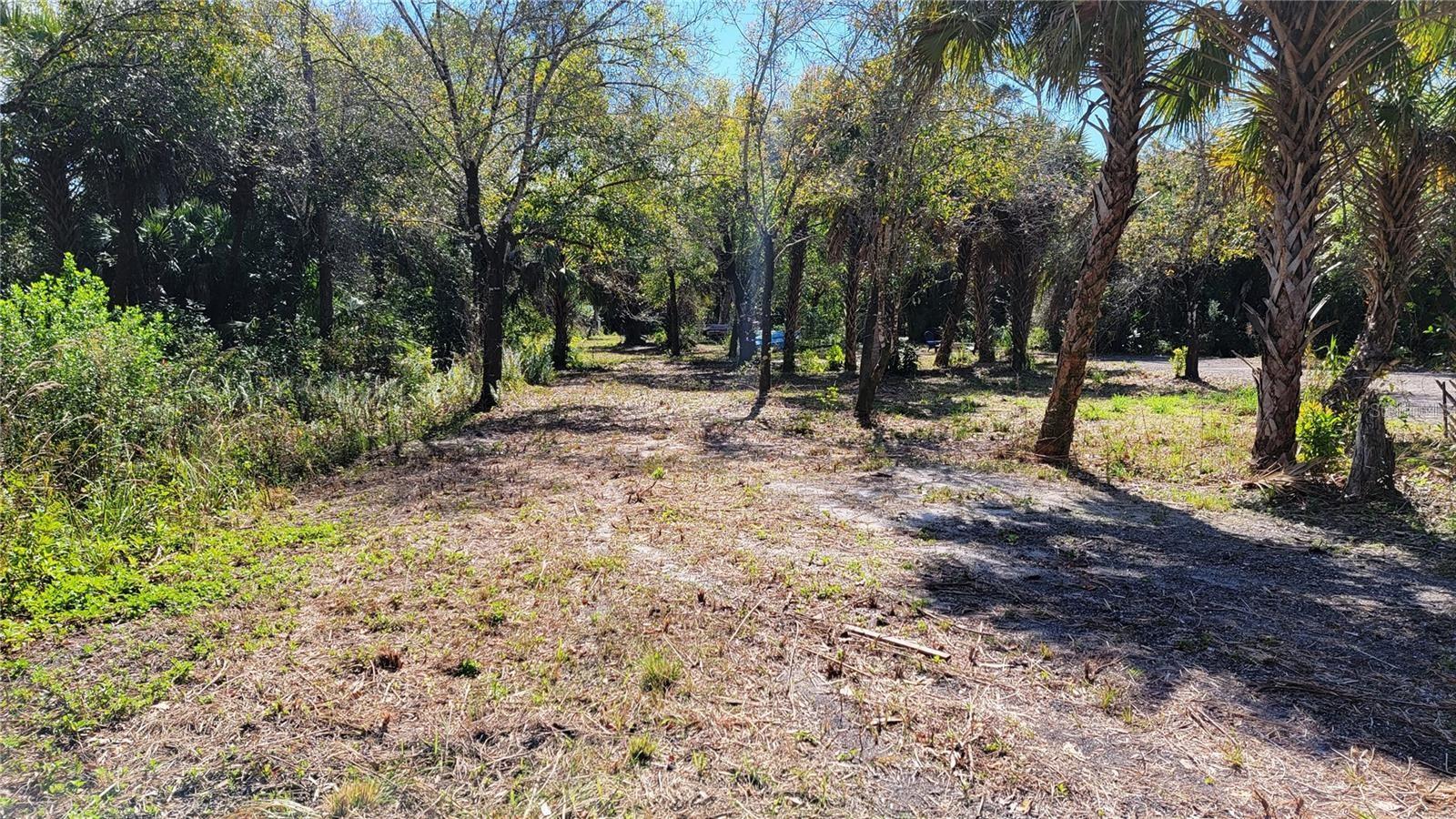 Image 13 of 18 For 602 Drury Lane