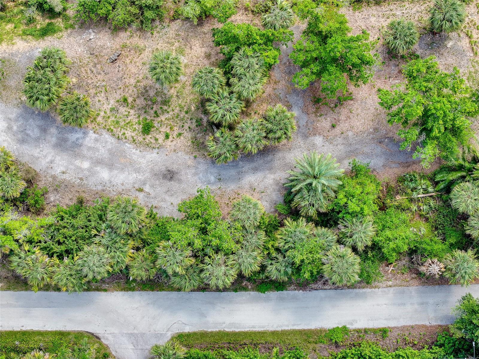 Image 5 of 18 For 602 Drury Lane