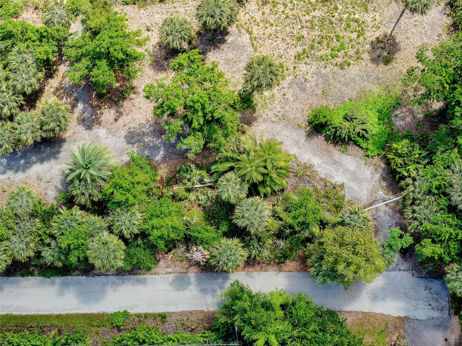 Image 6 of 18 For 602 Drury Lane