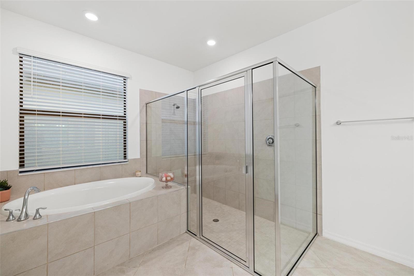 Image 30 of 45 For 19729 Fishhawk Trail