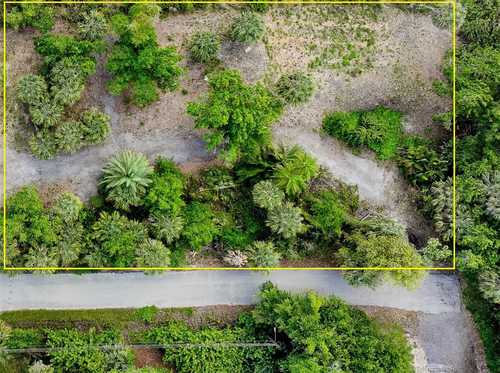 Image 2 of 10 For 618 Drury Lane