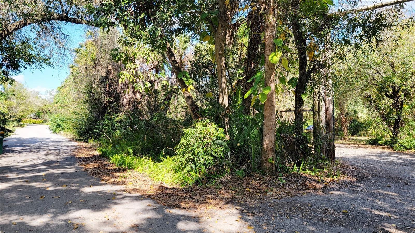 Image 4 of 10 For 618 Drury Lane