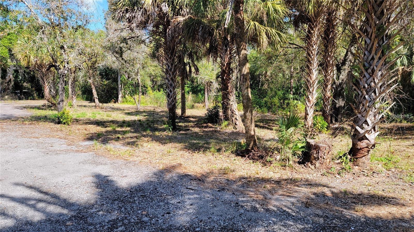 Image 6 of 10 For 618 Drury Lane