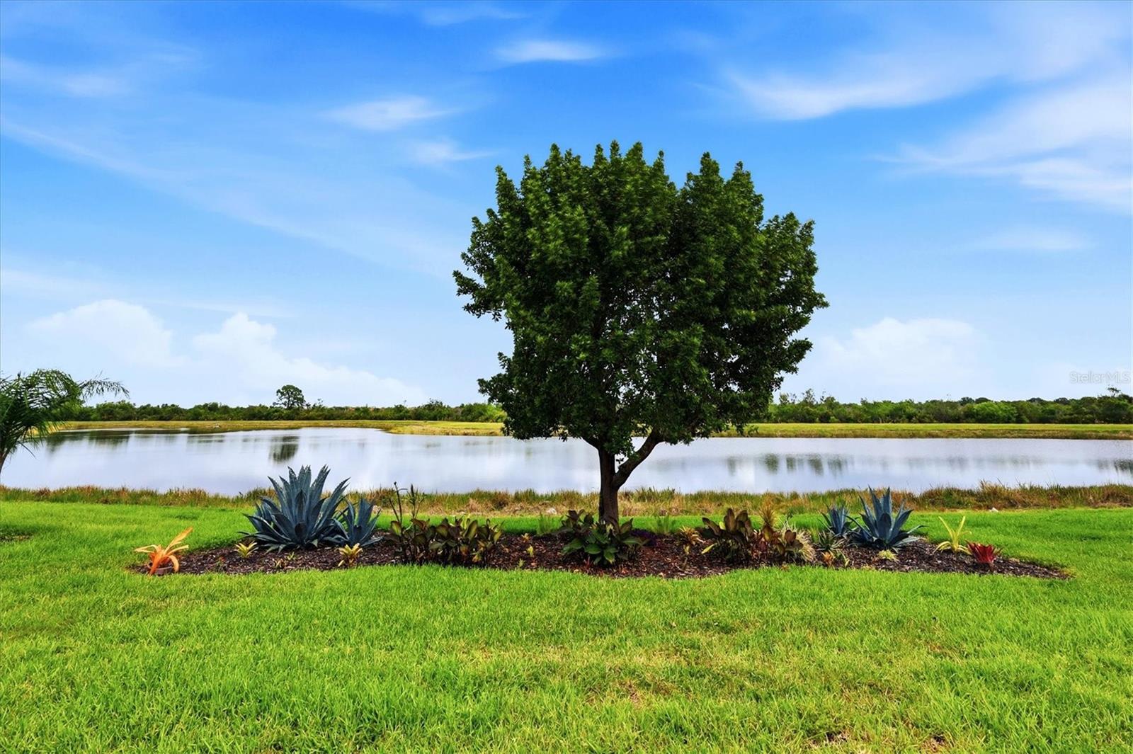 Image 12 of 60 For 10474 Medjool Drive