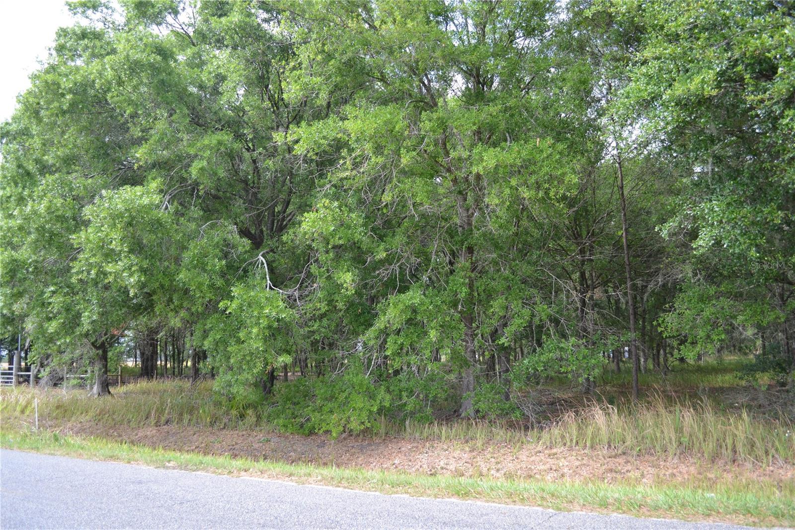 Image 3 of 7 For Bostick Road