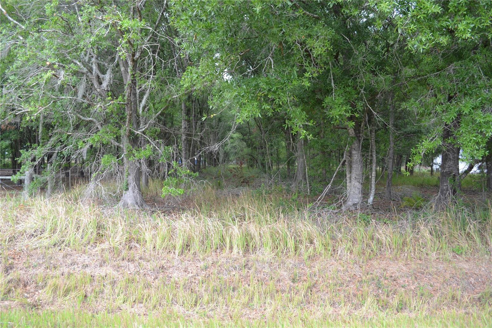 Image 5 of 7 For Bostick Road