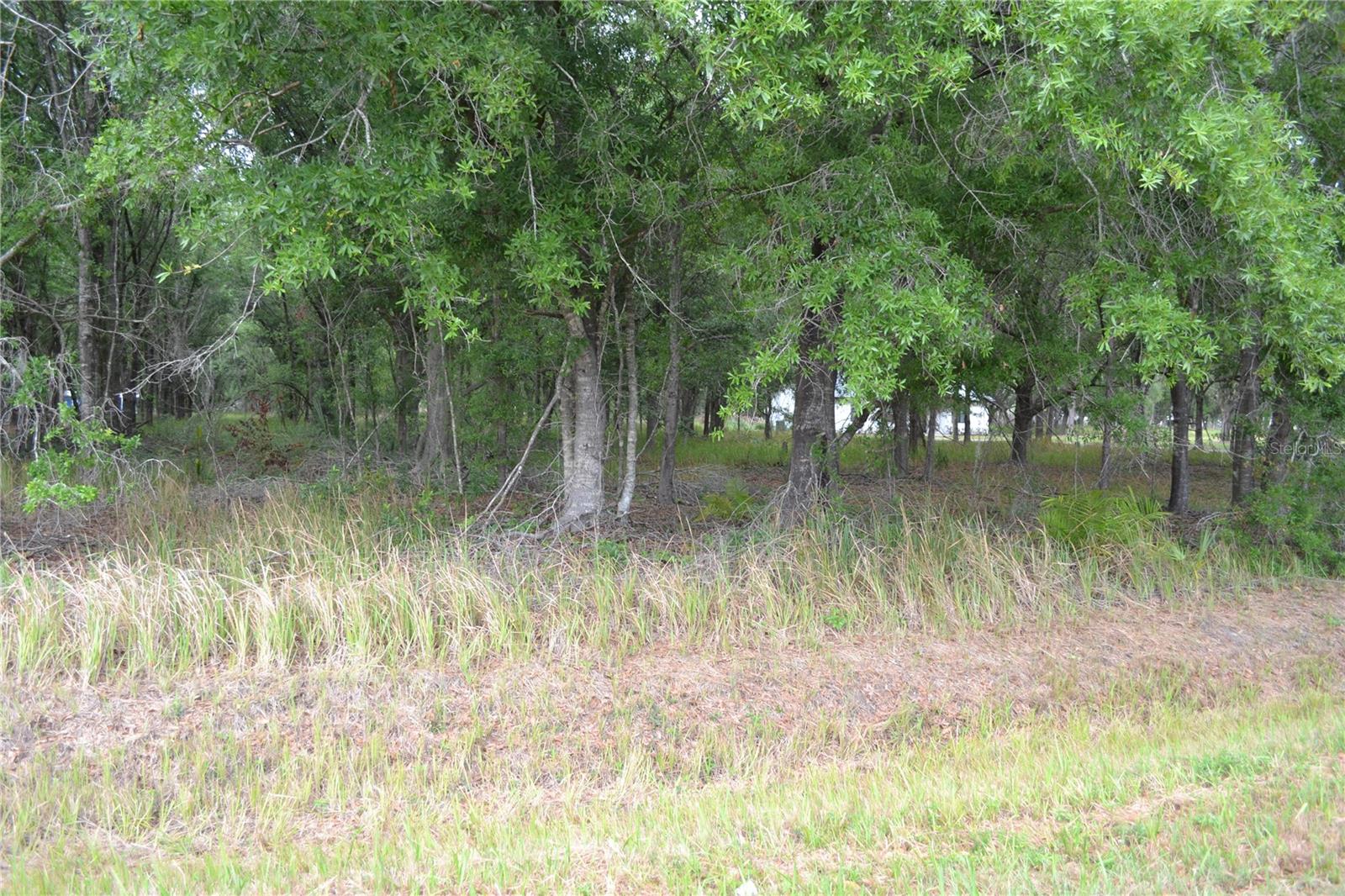 Image 6 of 7 For Bostick Road